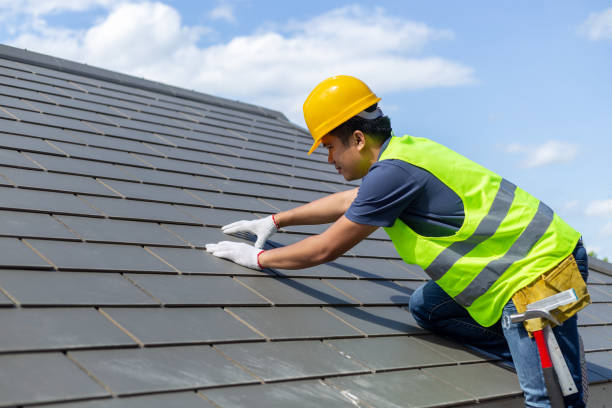 Best Local Roofing Companies  in Hohenwald, TN