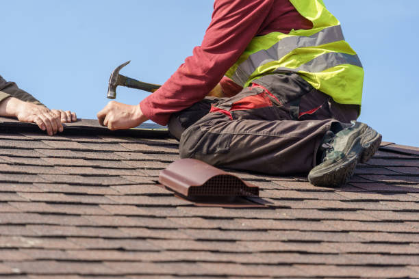 Best Shingle Roofing Installation  in Hohenwald, TN