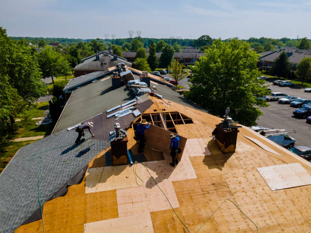 Best Gutter Installation and Roofing  in Hohenwald, TN