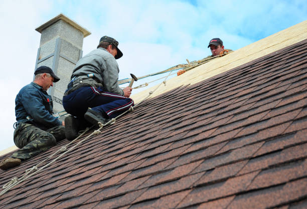 Best Commercial Roofing Services  in Hohenwald, TN
